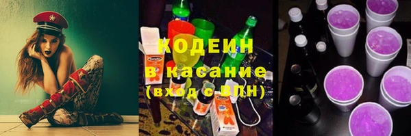 прущие грибы Волосово