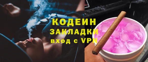 прущие грибы Волосово