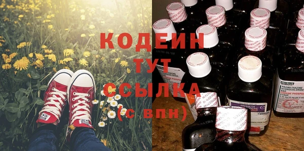 прущие грибы Волосово