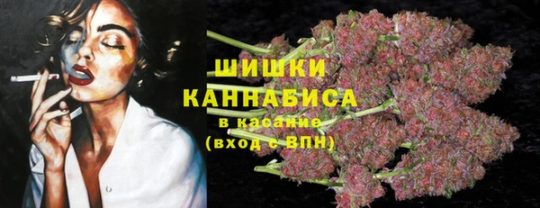 прущие грибы Волосово