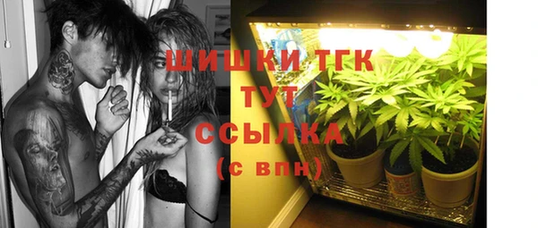 прущие грибы Волосово
