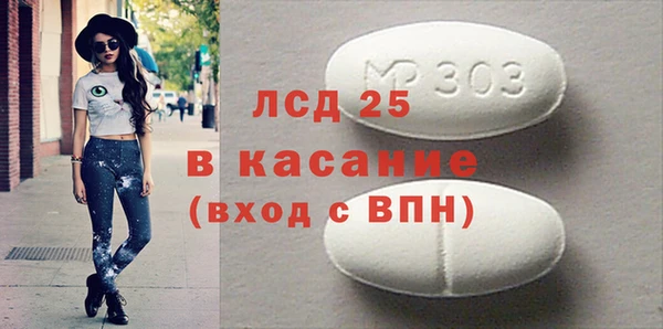 прущие грибы Волосово
