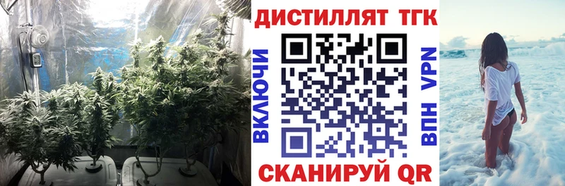 Дистиллят ТГК THC oil  Карабулак 